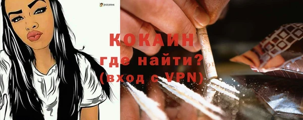 бошки Надым