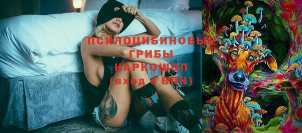 МДПВ Абаза