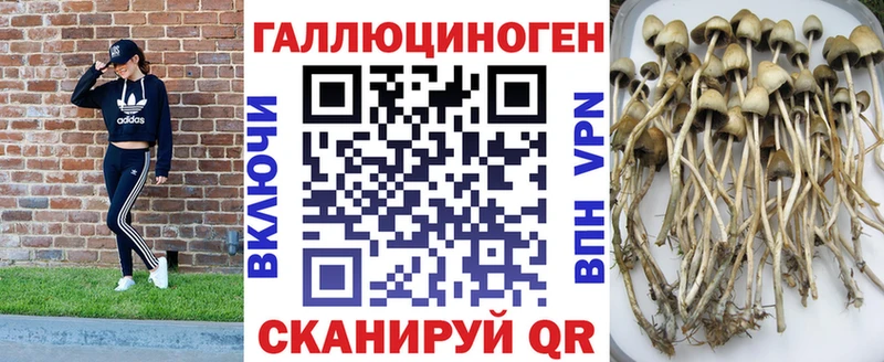 Галлюциногенные грибы Cubensis  купить  цена  Урень 